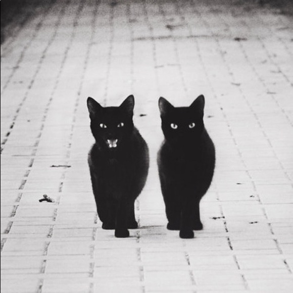 Meet your Posher, Linda - Picture 1 of 1